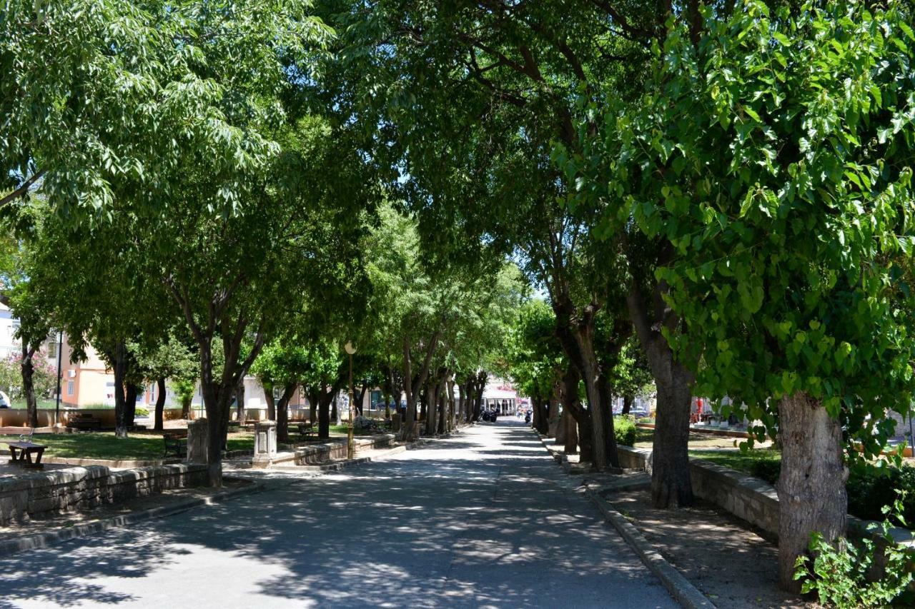 Iva Apartmani Vodice Zewnętrze zdjęcie